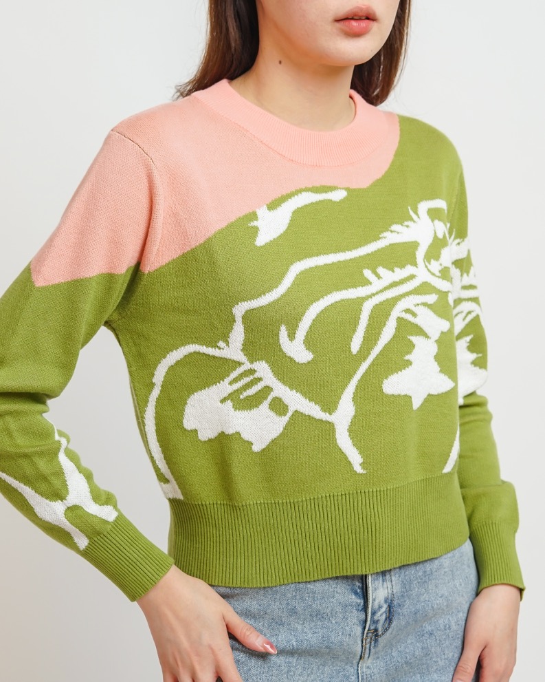 NASL Long-Sleeve Contrast Crop Sweater in Green